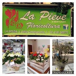 Floricoltura La Pieve, La Spezia orari di apertura