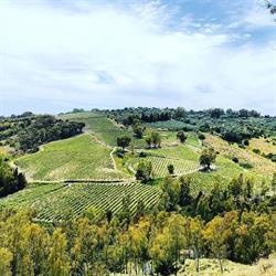 Casa Ponziana - Azienda Agricola Biologica di Caterina Salerno, Riace Marina orari di apertura