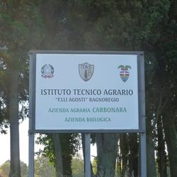 Azienda Agricola Carbonara, Bagnoregio orari di apertura