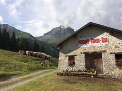 Azienda Agricola Furloni Martino, Breno orari di apertura