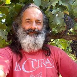 Cantina La Cura, Massa Marittima orari di apertura