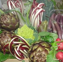 L'Orto di Silvia, Pienza orari di apertura