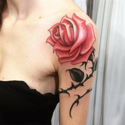 Antipop Tattoo, Foggia orari di apertura