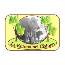 La Fattoria Nel Ciafone, Offida orari di apertura