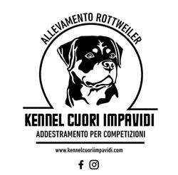 Cuoriimpavidi Kennel, Brescello orari di apertura