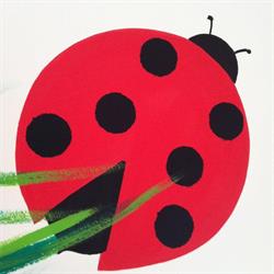 Asilo nido "Le coccinelle", Vailate orari di apertura