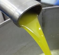 Azienda Agricola Rodi, Gerace orari di apertura