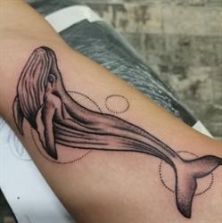 RH Tattoo, Livorno orari di apertura