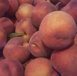 Azienda Agricola Morandini Corrado E Michele Villafranca di Verona, Dossobuono - Orari di apertura