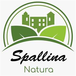 Spallina Giovanni, Castelbuono orari di apertura