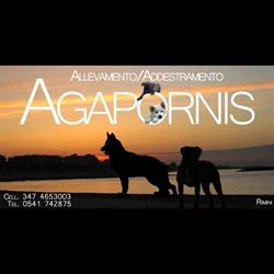 Agapornis Addestramento Cani di Benito Maccan, Rimini orari di apertura