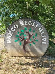 Parco Negli Ulivi, Cepagatti orari di apertura