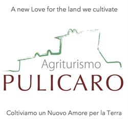 Pulicaro - Agriturismo e B&B, Torre Alfina orari di apertura