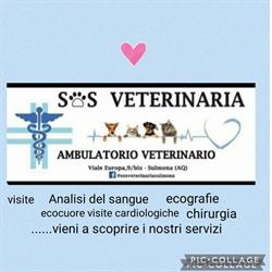 SOS Veterinaria dott.ssa Francesca De Sanctis, Sulmona orari di apertura