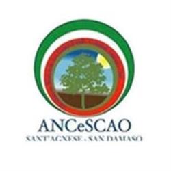 Comitato Anziani e Orti S. Agnese S. Damaso APS, Modena orari di apertura