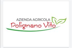 La Bottega Italiana dell' Azienda Agricola di Polignano Vito, Putignano orari di apertura