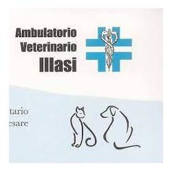 Ambulatorio Veterinario Artemide, Illasi orari di apertura