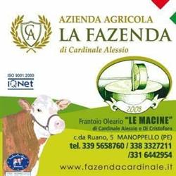 Azienda Agricola Cardinale Alessio, Manoppello orari di apertura