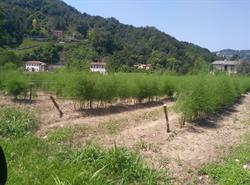 Azienda Agricola De Coppi Claudio, Tarzo orari di apertura
