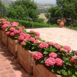 Agriturismo Torre Piantarosa, Mercatello orari di apertura