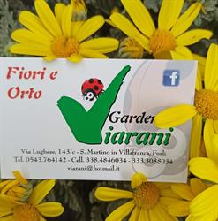 Garden Viarani, Forlì orari di apertura