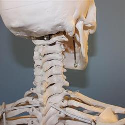 Osteopata Cécile Cassini, Bordighera orari di apertura