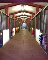 Scuderia I Mandorli Scuola di Equitazione Pony Club, Avezzano orari di apertura