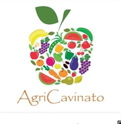 Azienda Agricola Cavinato Bruno, Vigodarzere orari di apertura