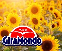 GiraMondo Viaggi Torino, orari di apertura
