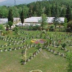 Azienda Agraria L. Fantoni Soliera Apuana, Fivizzano orari di apertura