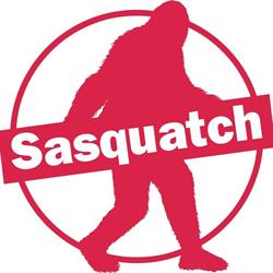 Sasquatch Grafica, Stampa e Web, Alessandria orari di apertura