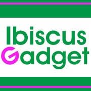 Ibiscus Gadget di Sonia Vaggelli, Pontassieve orari di apertura
