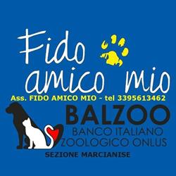 Balzoo Marcianise - Rifugio Fido Amico Mio, orari di apertura