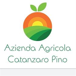 Azienda Agricola Catanzaro Pino, Ribera orari di apertura