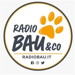 RadioBau & Co., Milano orari di apertura