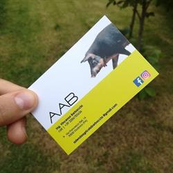 Azienda Agricola Barbaccia AAB, Godrano orari di apertura