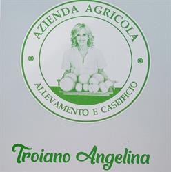 Azienda Agricola Angelina Troiano, Spoltore orari di apertura