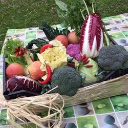 Azienda Agricola Celati, Argenta orari di apertura