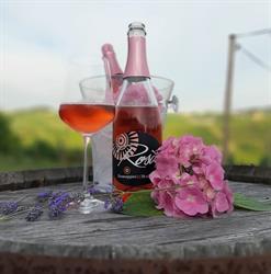 Formaggini & Peveri Vini e Vigne, Vicobarone orari di apertura