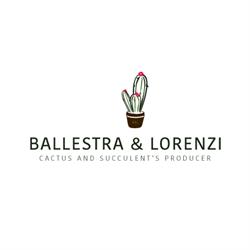 Cactee Balestra & Lorenzi, Ventimiglia orari di apertura