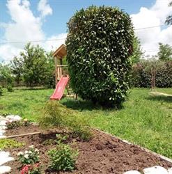 Azienda Agricola F.lli Romano, Gioia Sannitica orari di apertura