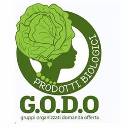 GODO Gruppo Organizzato, Corciano orari di apertura