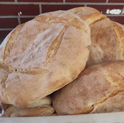 Panificio Famà, Siracusa orari di apertura