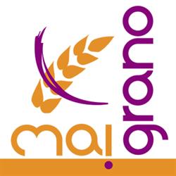 Mai Grano Delizie Artigianali Gluten Free, Pisa orari di apertura