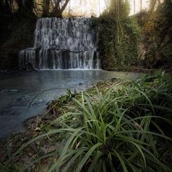 Azienda Agricola Il Molinaccio al Rio Chiaro, Civitella d'Agliano orari di apertura