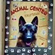 Animal Center, Adrano orari di apertura