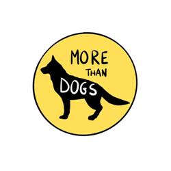 Pensione per cani easydog - morethandogs “Ai Sorni”, Nave San Felice orari di apertura