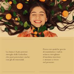Imagine di Marina Meccani, San Giuliano Terme orari di apertura