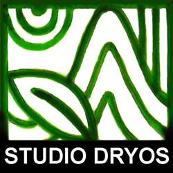 Studio Dryos, Bergamo orari di apertura