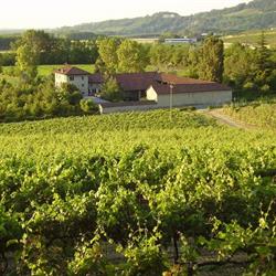 Azienda Agricola La Bozzola, Morsasco orari di apertura